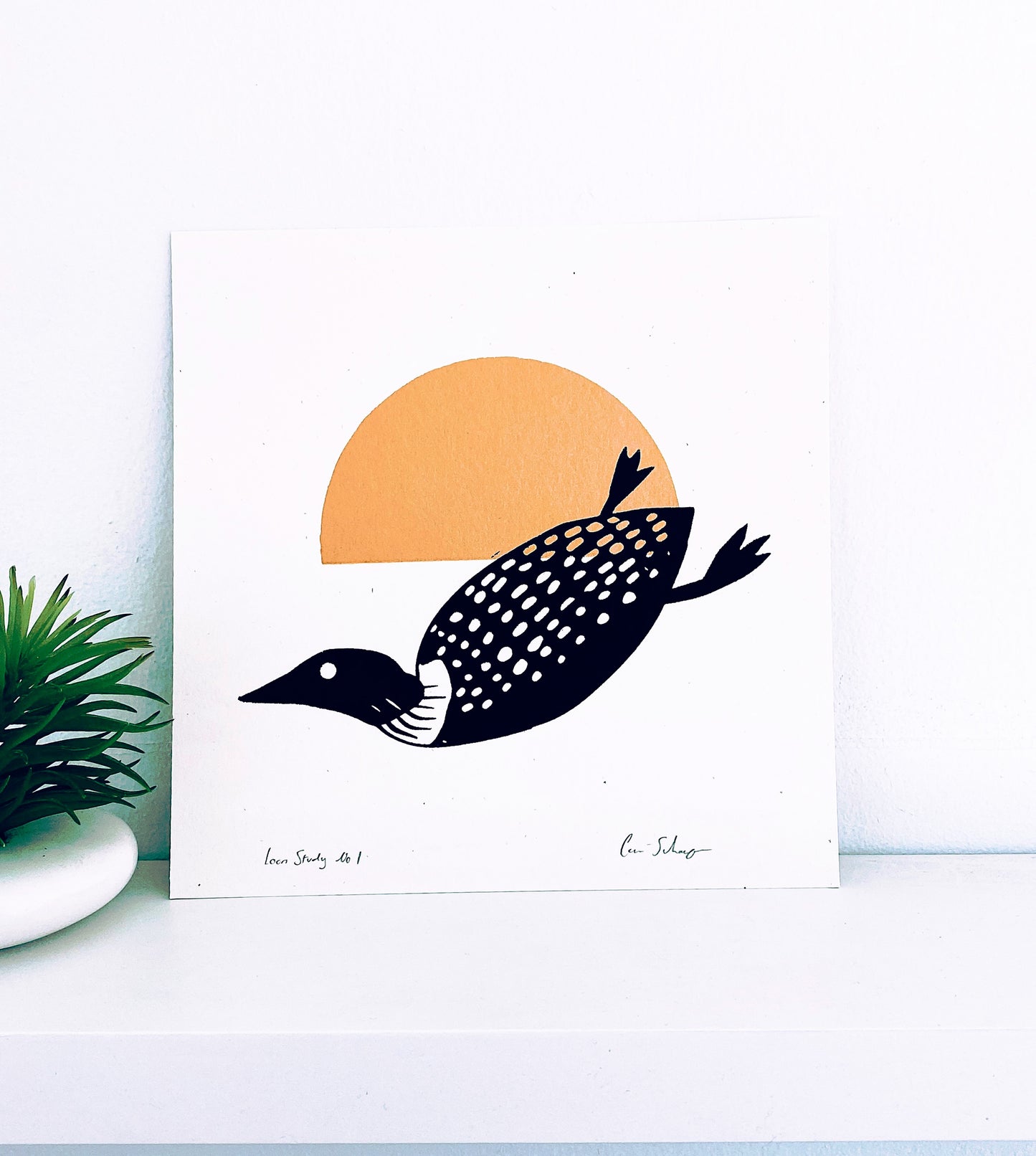 Loon Study No.1