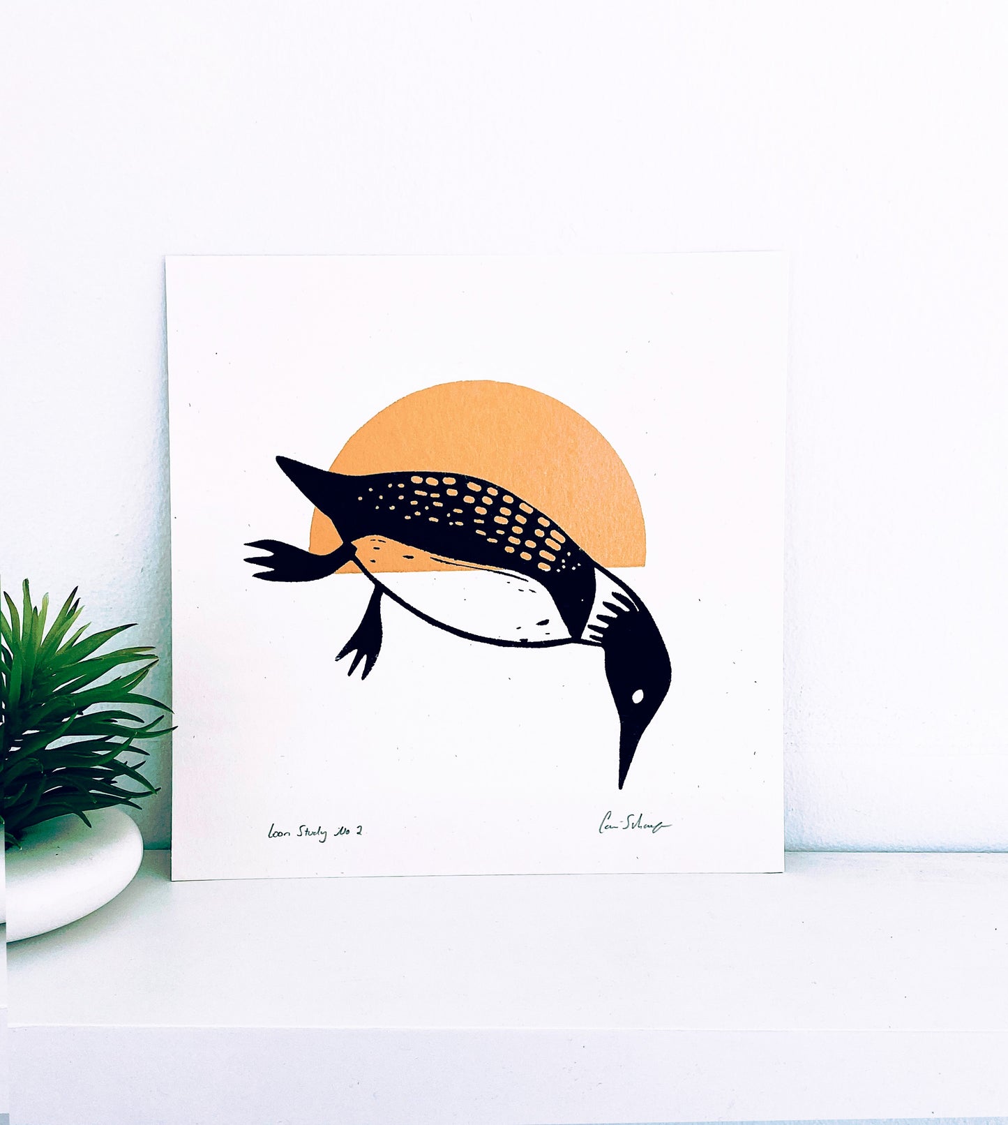 Loon Study No.2