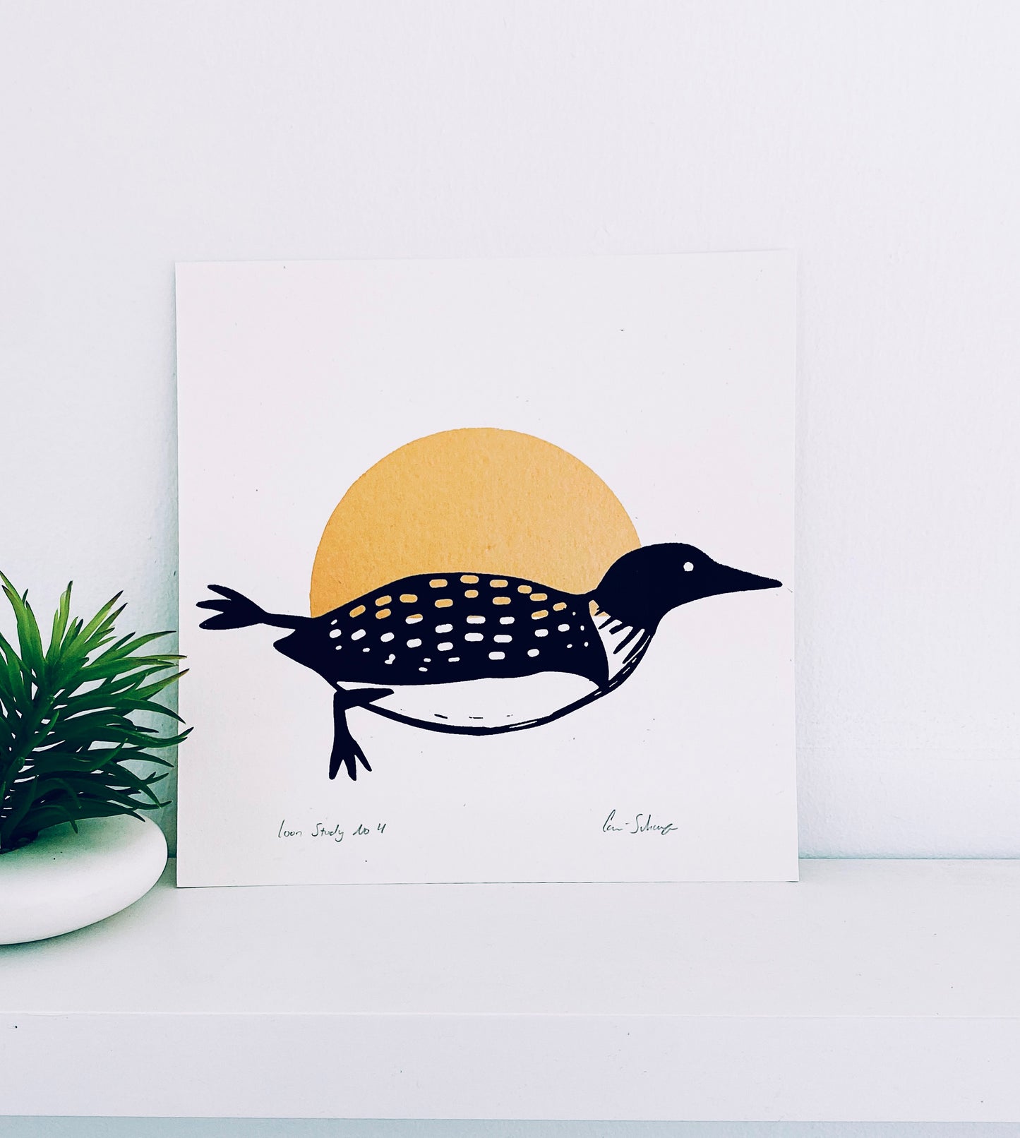 Loon Study No.4