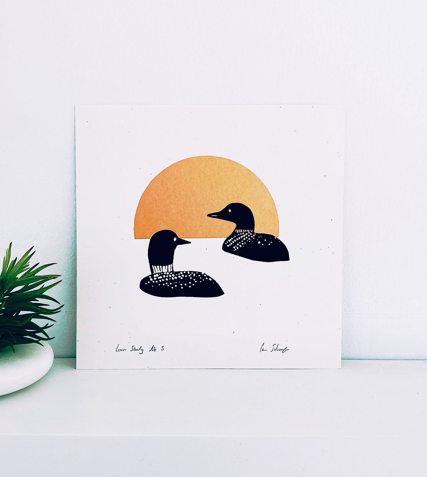 Loon Study No.5