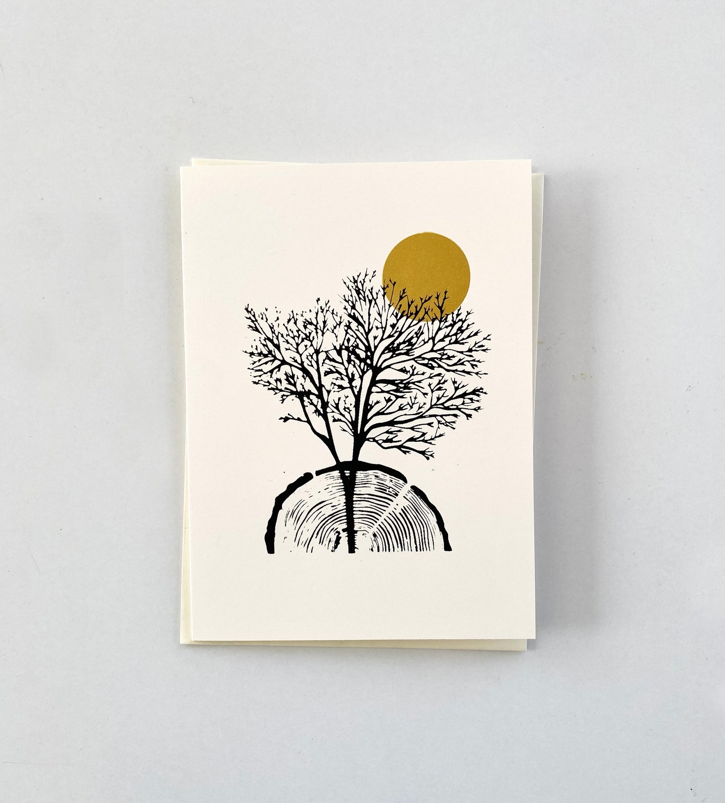 Set of two 5x7 cards | Pine Sprig & Growth