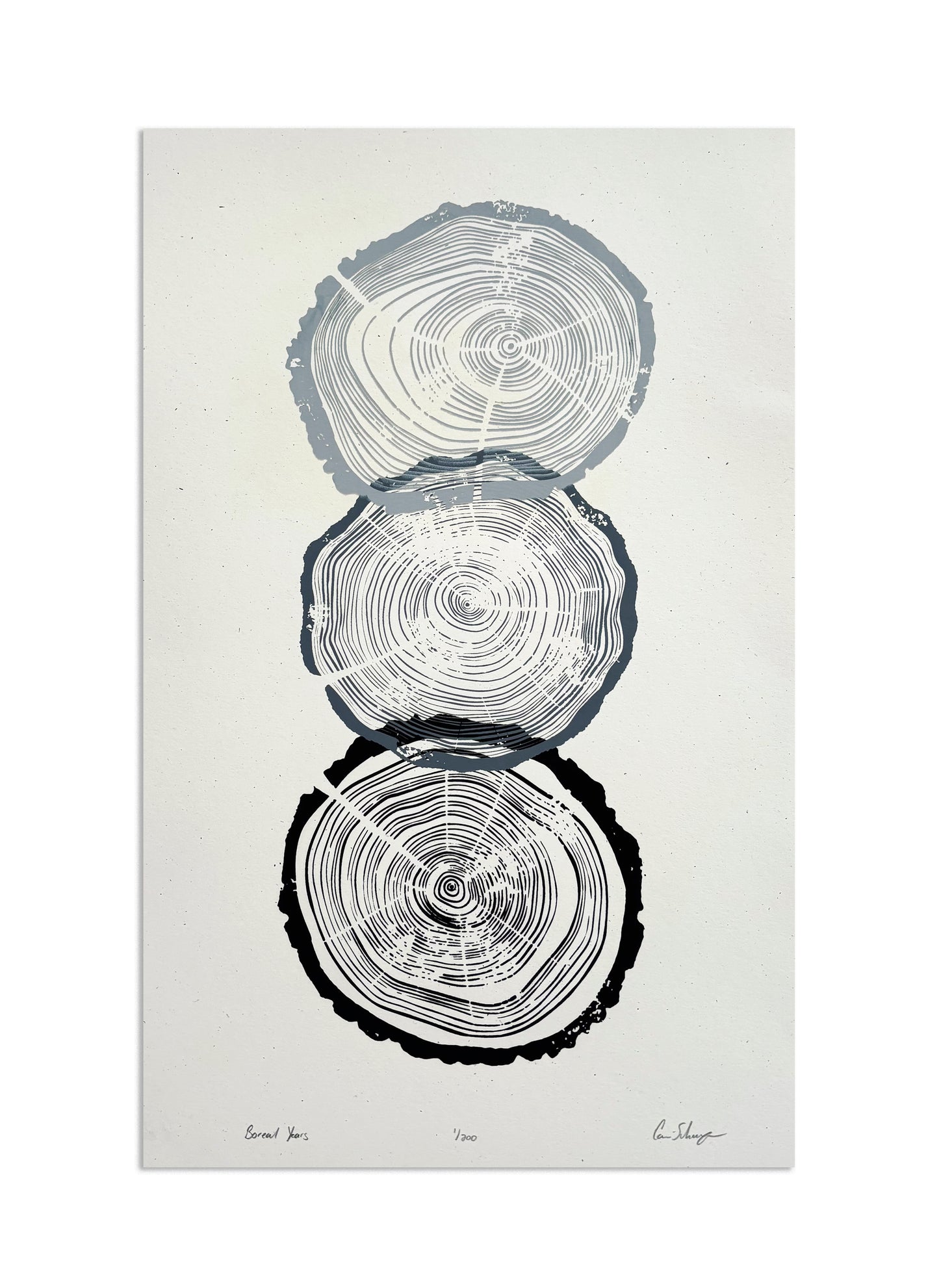 Boreal Years | 11x17 Silk Screen Print