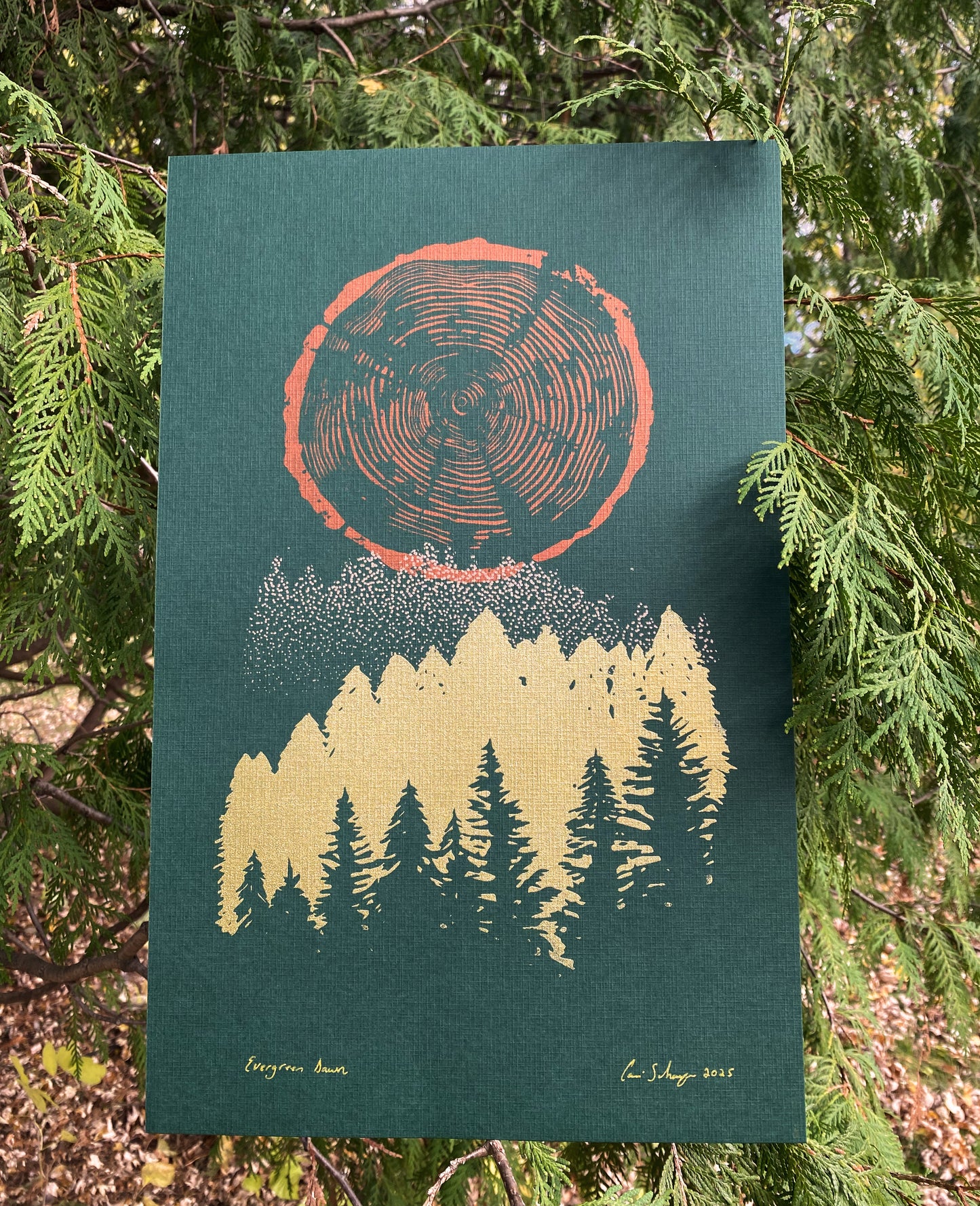 Evergreen Dawn | 11x17 Silk Screen Print