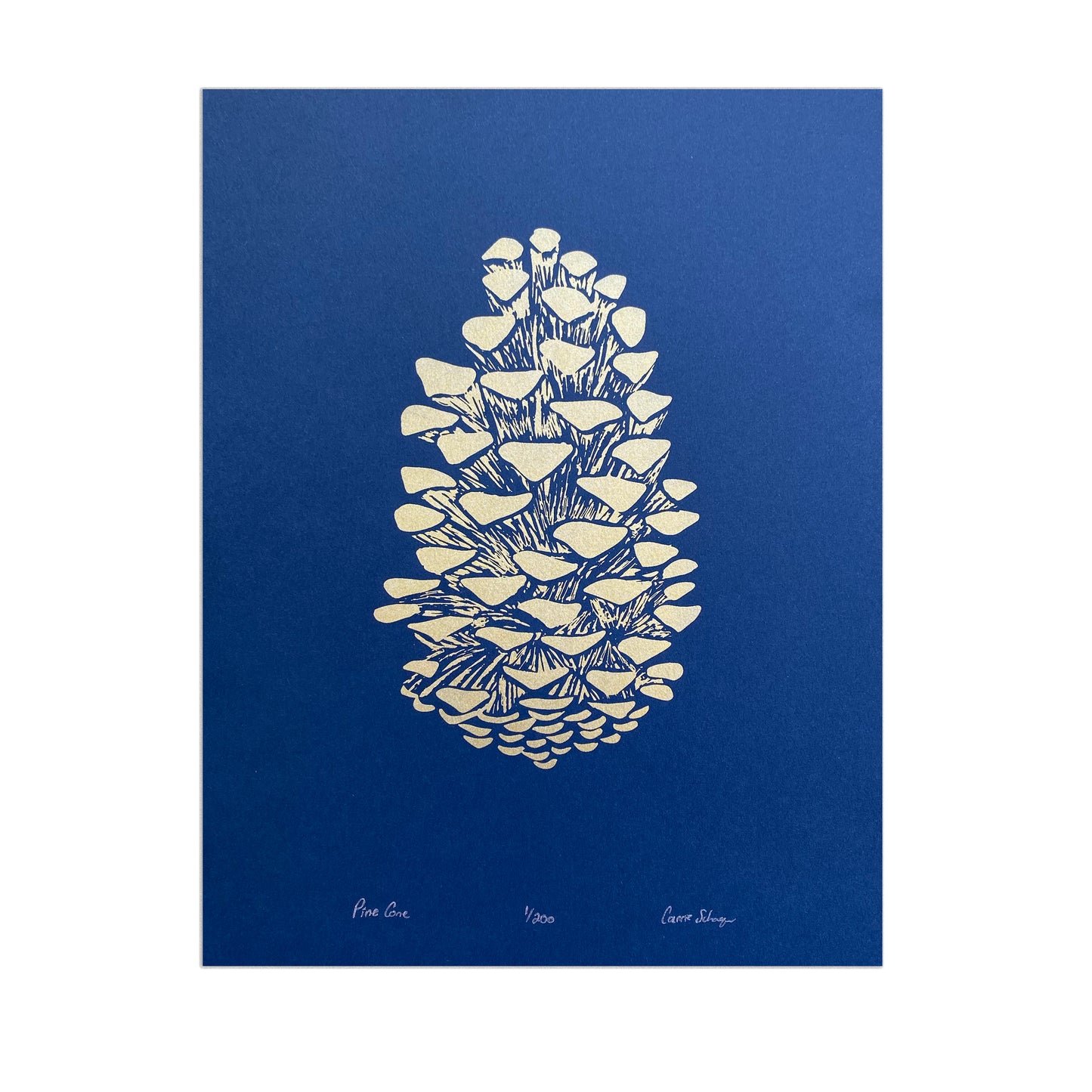 Pinecone | 11x14 Silk Screen Print